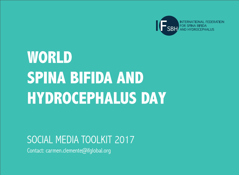 WSBHD 17