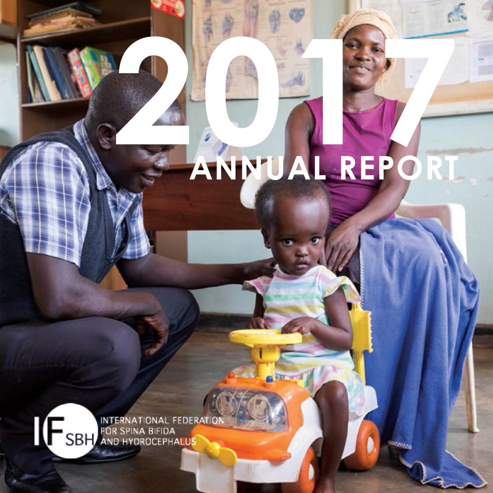 IF Annual Report 2017