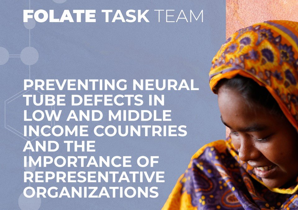 FFT_Preventing-NTDs-in-LMIC-and-the-importance-of-representative-organizations_960