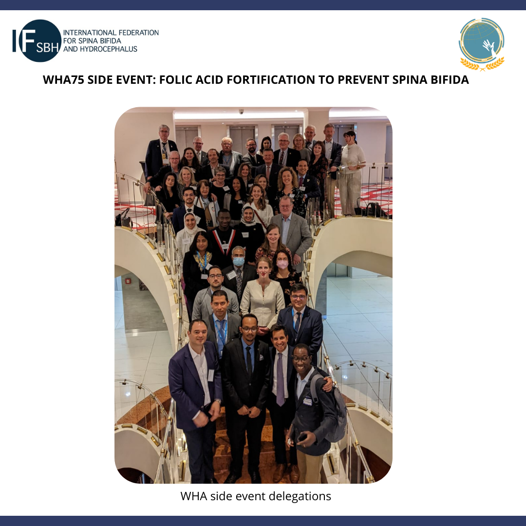 WHA side event delegations
